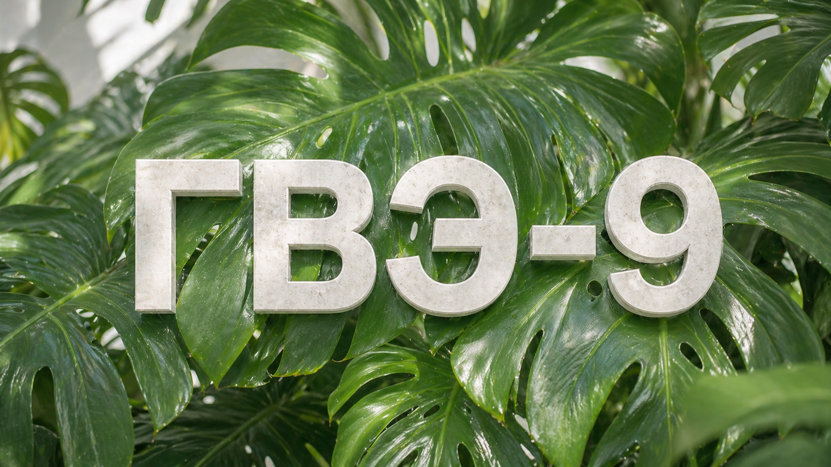 ГВЭ-9